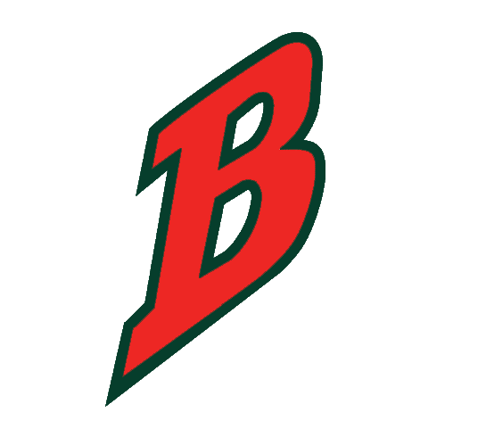 Buffalo Bisons 1998-2003 Cap Logo v2 iron on transfers for clothing